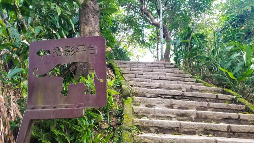 elephant-mountain-upward-signage