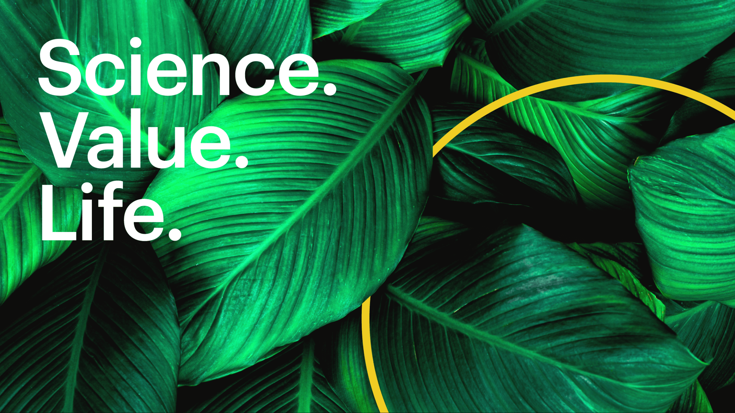 mitsubishi-chemical-group-corporation-mcgc-cover