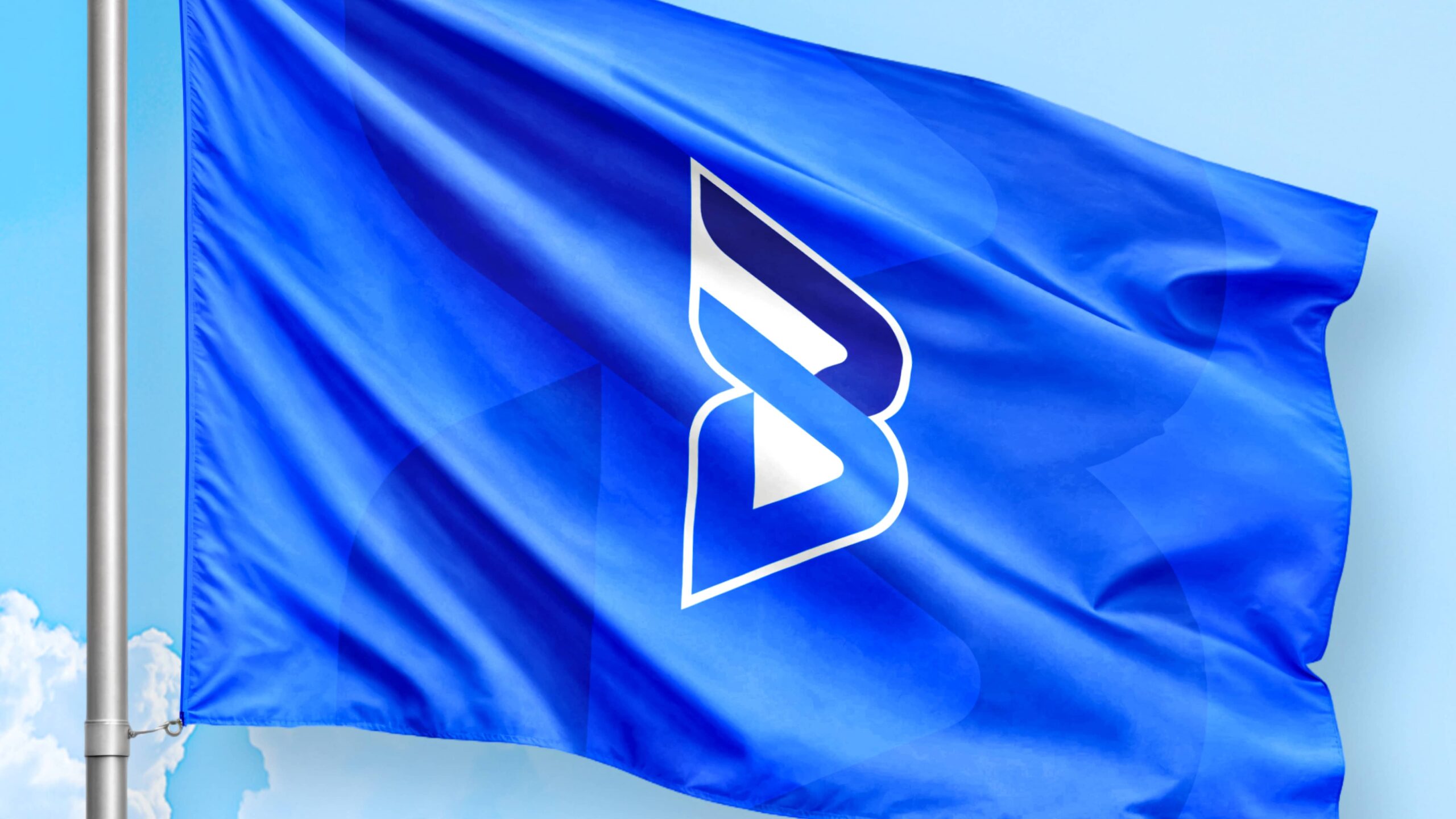 panasonic-osaka-bluteon-cover