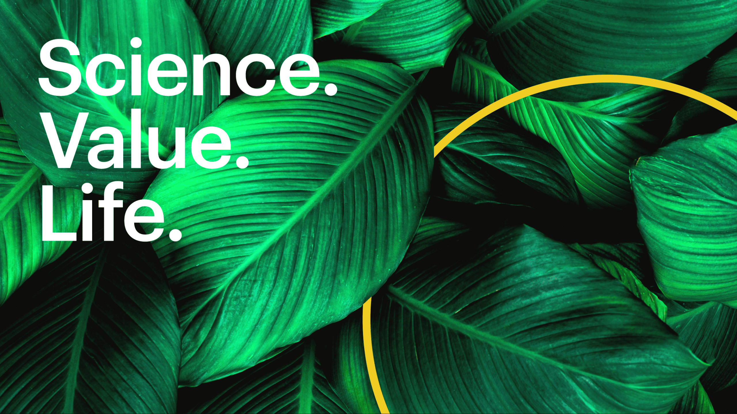 Cover used for the Mitsubishi Chemical Group branding project.